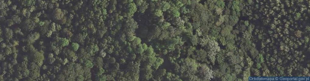 Zdjęcie satelitarne Przełom rz. Nysa Łużycka