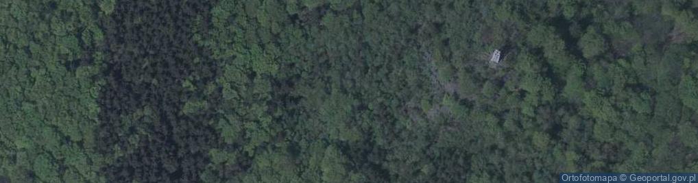 Zdjęcie satelitarne Rezerwat Góra Ślęża
