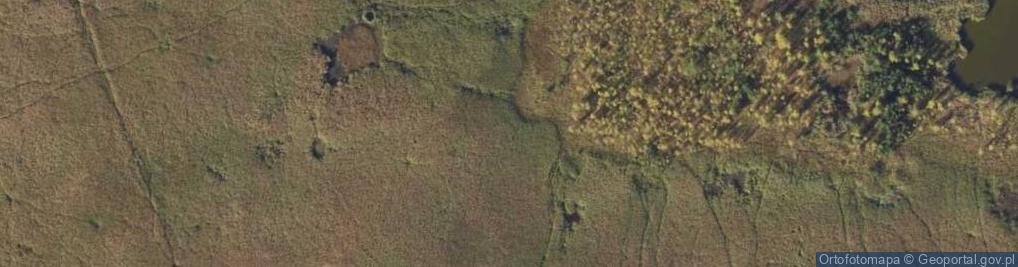 Zdjęcie satelitarne Rezerwat Ptasi Raj