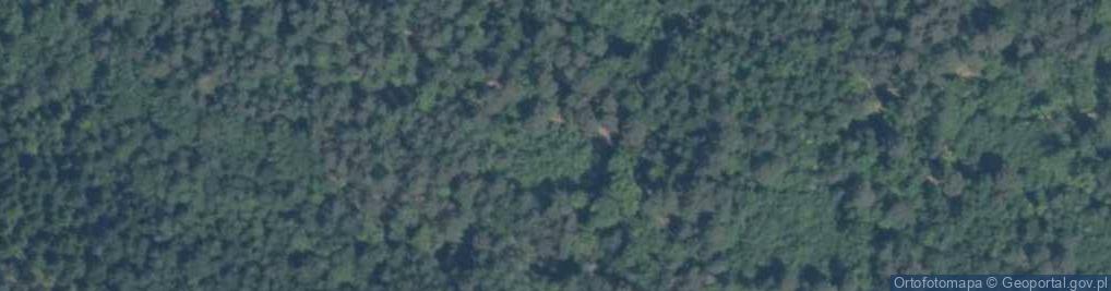 Zdjęcie satelitarne Rezerwat Skały pod Adamowem