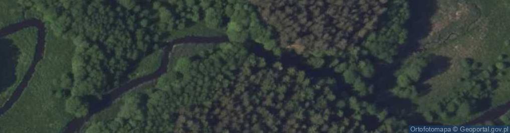 Zdjęcie satelitarne Rynna polodowcowa wzdłuż biegu rz. Czarna Hańcza