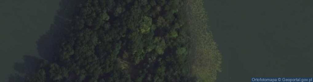 Zdjęcie satelitarne Rzeźby Fauna i Meduzy