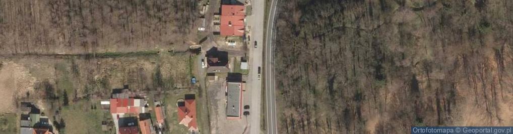 Zdjęcie satelitarne Rzeźby z żywopłotu