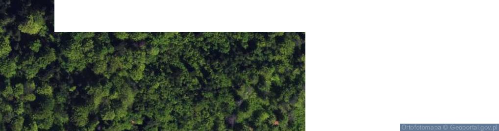 Zdjęcie satelitarne Skała Czarownic k/Hucisk