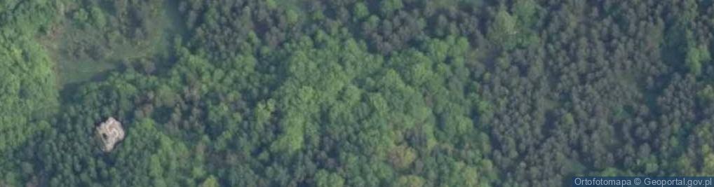 Zdjęcie satelitarne Skała Okręt w Podzamczu