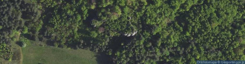 Zdjęcie satelitarne Skały Nietoperze i Góra Cydzownik