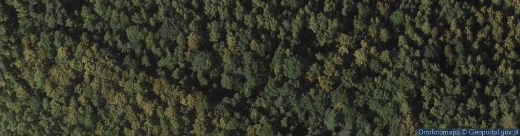 Zdjęcie satelitarne Skały piaskowcowe nad Lwówkiem Śląskim - Szwajcaria Lwówecka