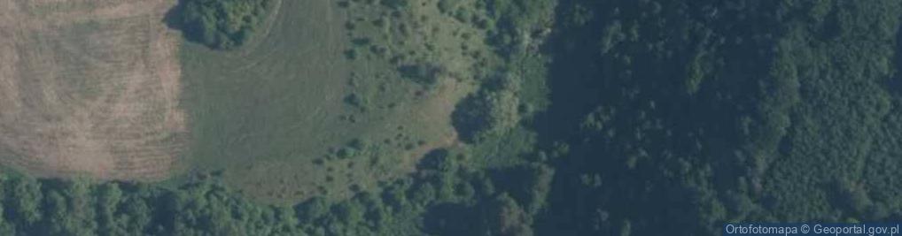 Zdjęcie satelitarne Skamienialości z miocenskich osadów