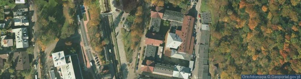 Zdjęcie satelitarne Stare Łazienki Mineralne i Borowinowe