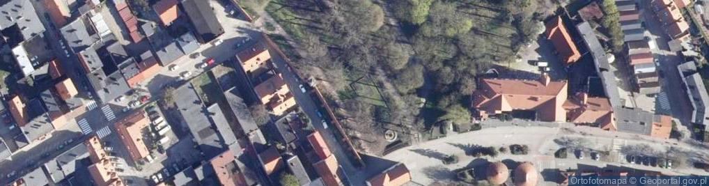 Zdjęcie satelitarne Zegar z kwiatów