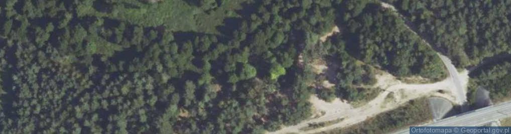 Zdjęcie satelitarne Źródła w Pile