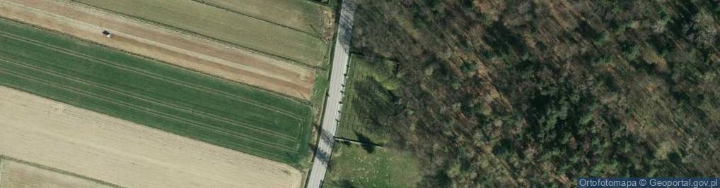 Zdjęcie satelitarne Cmentarz wojenny nr 198