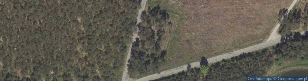 Zdjęcie satelitarne Cmentarz wojenny w Mazanowie