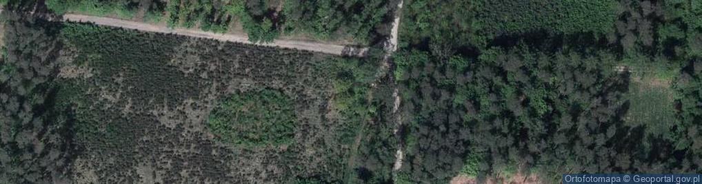 Zdjęcie satelitarne Cmentarz wojenny w Rokitnie