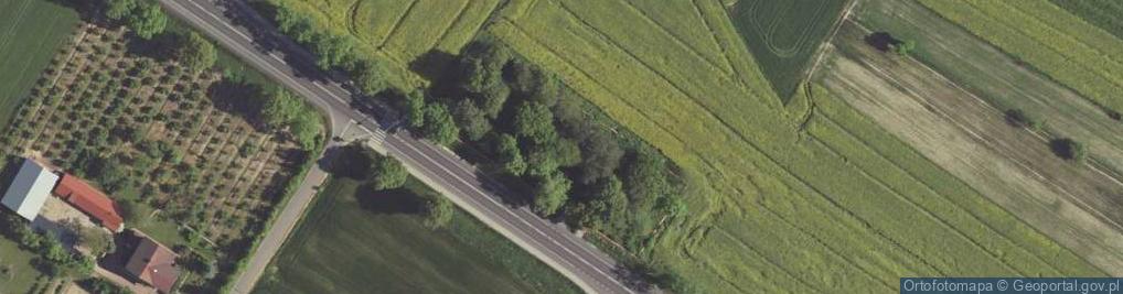 Zdjęcie satelitarne Cmentarz z I wojny światowej