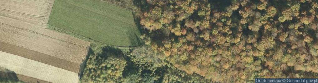 Zdjęcie satelitarne Cmentarz z I wojny światowej