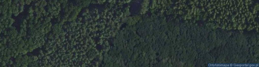 Zdjęcie satelitarne Cmentarz z I wojny światowej