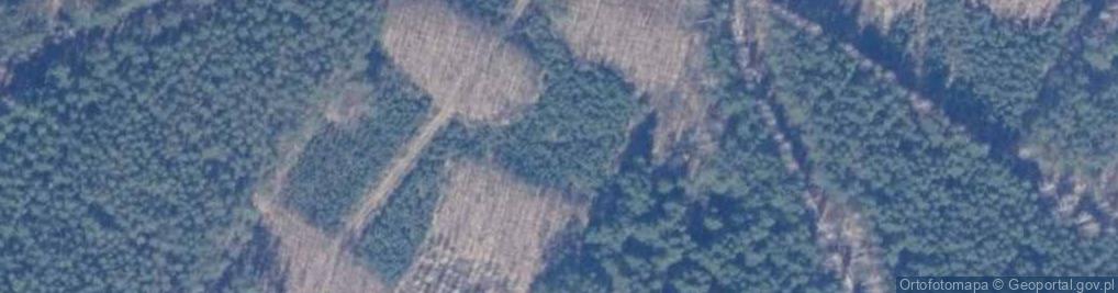 Zdjęcie satelitarne Mogiła wojenna w Augustowie