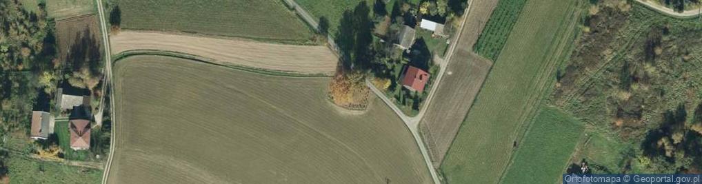 Zdjęcie satelitarne nr 165