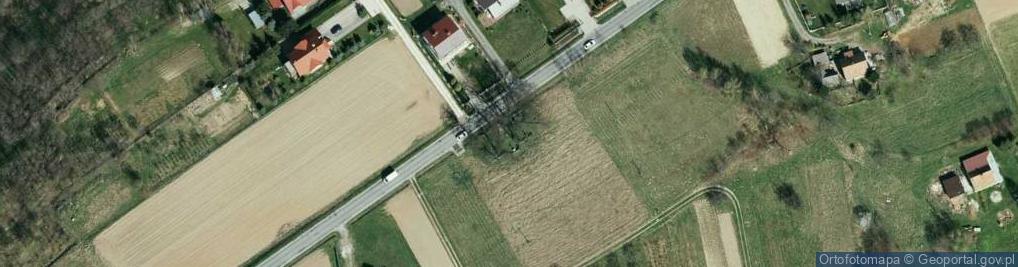 Zdjęcie satelitarne nr 195