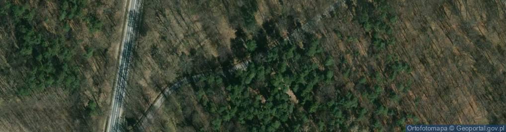Zdjęcie satelitarne Cmentarz ofiar terroru hitlerowskiego