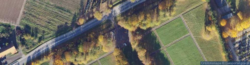 Zdjęcie satelitarne Cmentarz Żołnierzy Armii Radzieckiej 1945