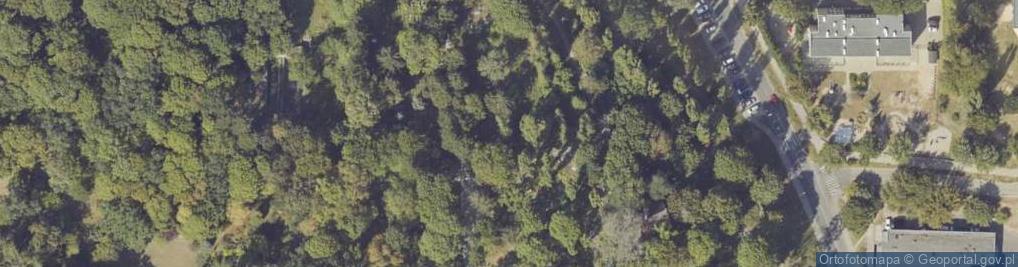 Zdjęcie satelitarne Cmentarz Świętokrzyski