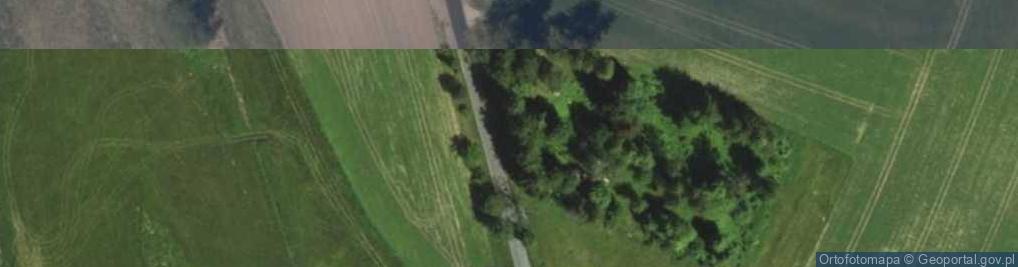 Zdjęcie satelitarne Stary historyczny w Szkotowie