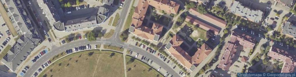 Zdjęcie satelitarne Delta Dent Piotr Cepeniuk Kinga Przybyłowska Marcin Przybyłowski