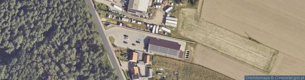 Zdjęcie satelitarne Dino