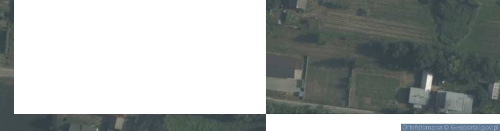 Zdjęcie satelitarne Dino