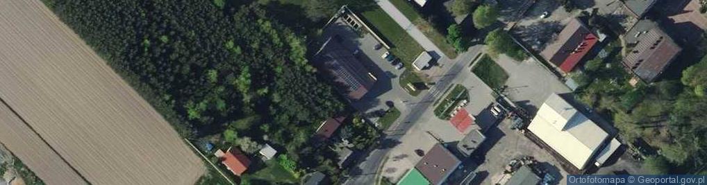 Zdjęcie satelitarne Dino