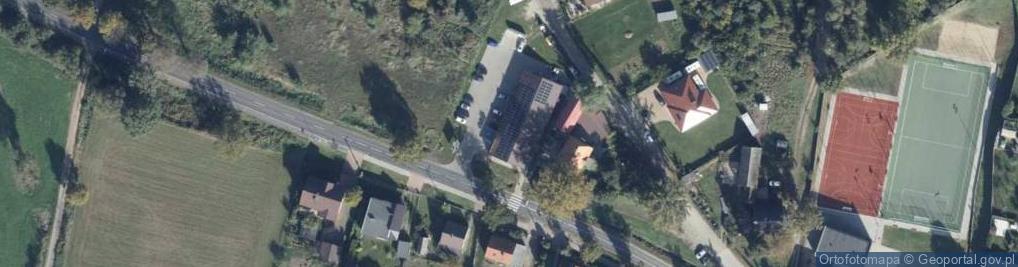 Zdjęcie satelitarne Dino