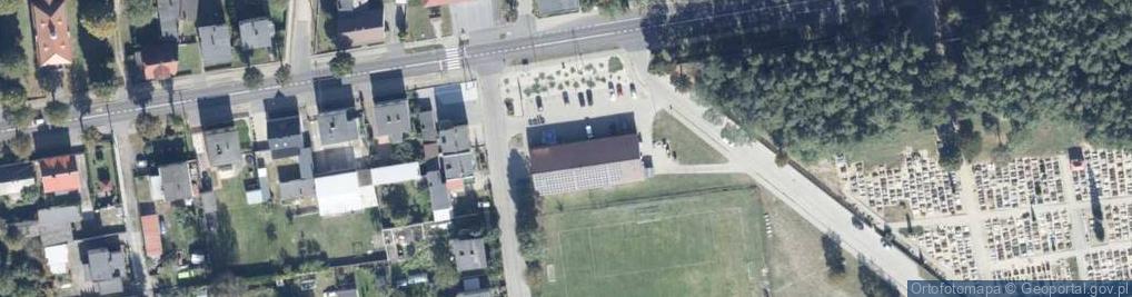 Zdjęcie satelitarne Dino