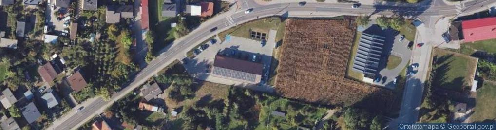 Zdjęcie satelitarne Dino