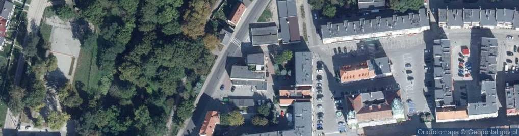 Zdjęcie satelitarne Dino