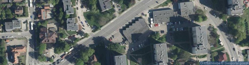 Zdjęcie satelitarne Dino