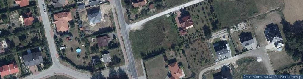 Zdjęcie satelitarne Dino