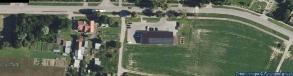 Zdjęcie satelitarne Dino