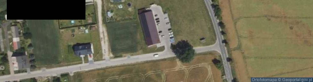 Zdjęcie satelitarne Dino