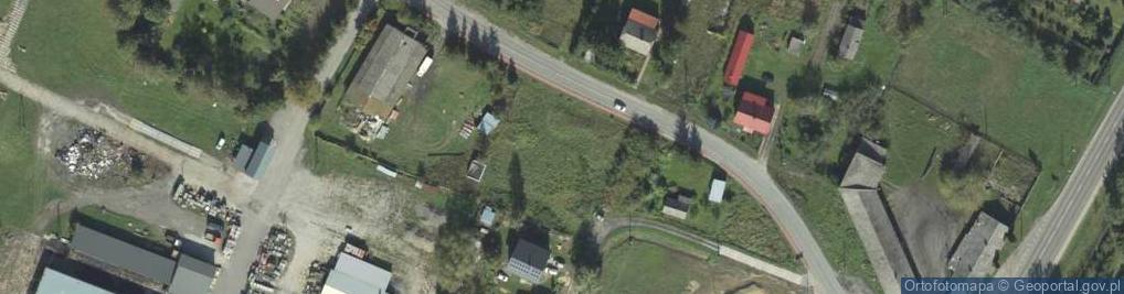 Zdjęcie satelitarne Dino