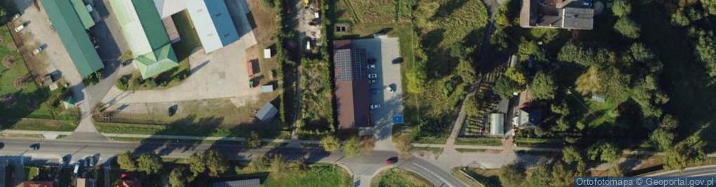 Zdjęcie satelitarne Dino