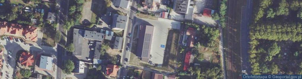 Zdjęcie satelitarne Dino