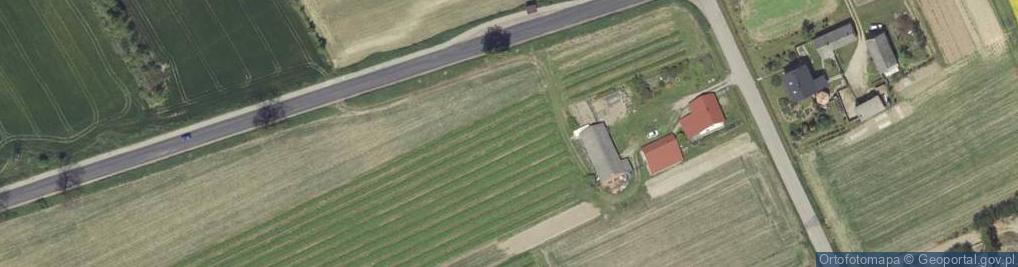 Zdjęcie satelitarne Dino