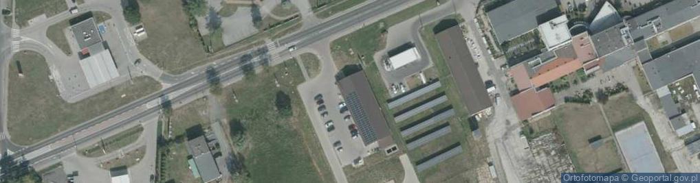 Zdjęcie satelitarne Dino