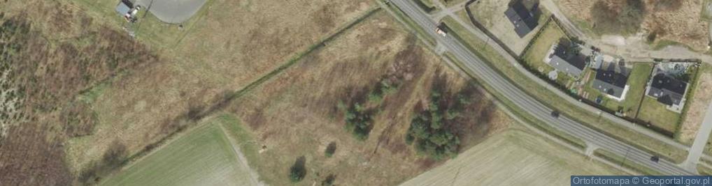 Zdjęcie satelitarne Dino