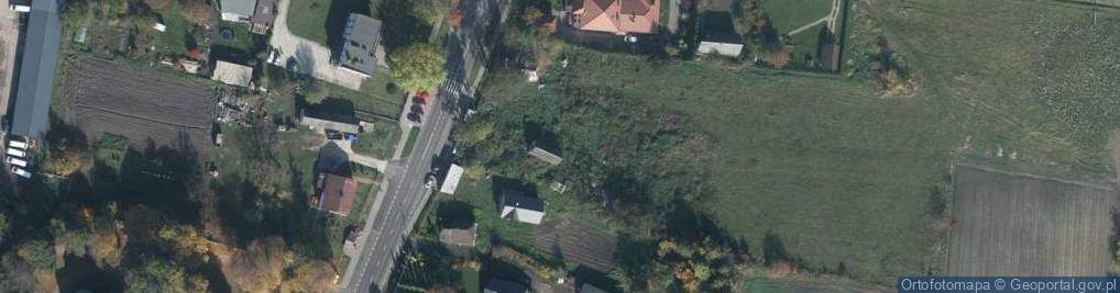 Zdjęcie satelitarne Dino