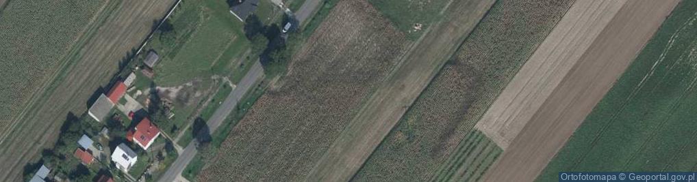 Zdjęcie satelitarne Dino