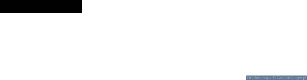 Zdjęcie satelitarne Dino