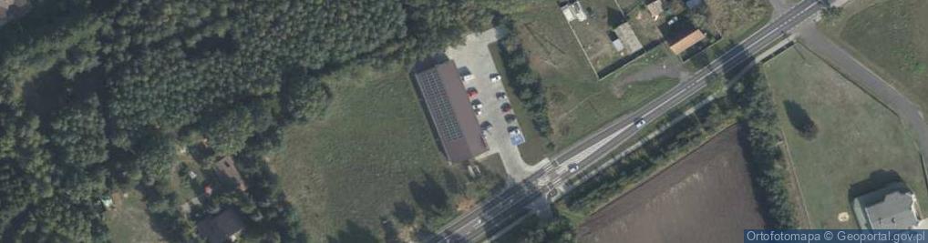 Zdjęcie satelitarne Dino